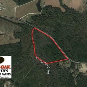 Photo of UNDER CONTRACT!!  44 Acres of Hunting and Timber Land For Sale in Columbus County NC!