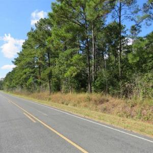 Photo of UNDER CONTRACT!!  172.7 Acres of Hunting and Timber Land For Sale in Columbus County NC!