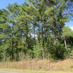 Photo of UNDER CONTRACT!!  172.7 Acres of Hunting and Timber Land For Sale in Columbus County NC!