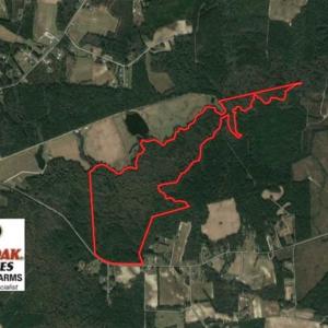 Photo of UNDER CONTRACT!!  172.7 Acres of Hunting and Timber Land For Sale in Columbus County NC!