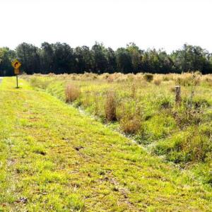 Photo of SOLD!!  45 Acres of Farm and Hunting Land For Sale in Columbus County NC!