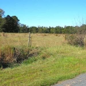 Photo of SOLD!!  45 Acres of Farm and Hunting Land For Sale in Columbus County NC!