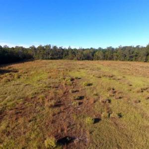 Photo of SOLD!!  45 Acres of Farm and Hunting Land For Sale in Columbus County NC!