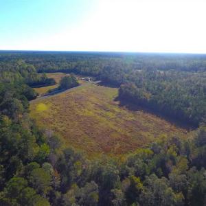 Photo of SOLD!!  45 Acres of Farm and Hunting Land For Sale in Columbus County NC!