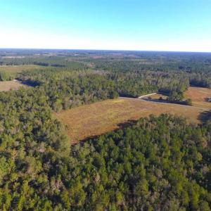 Photo of SOLD!!  45 Acres of Farm and Hunting Land For Sale in Columbus County NC!