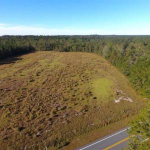 Photo of SOLD!!  45 Acres of Farm and Hunting Land For Sale in Columbus County NC!