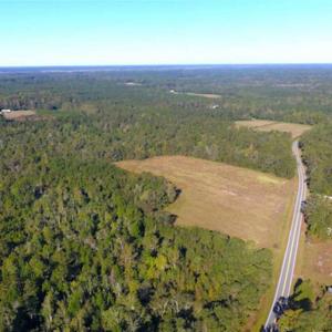 Photo of SOLD!!  45 Acres of Farm and Hunting Land For Sale in Columbus County NC!