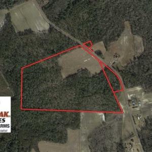 Photo of SOLD!!  45 Acres of Farm and Hunting Land For Sale in Columbus County NC!