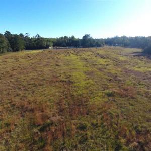 Photo of SOLD!!  45 Acres of Farm and Hunting Land For Sale in Columbus County NC!