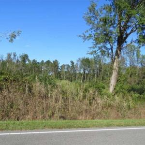Photo of SOLD!!  25.9 Acres of Residential and Hunting Land For Sale in Columbus County NC!
