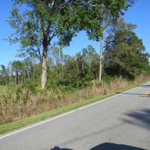 Photo of SOLD!!  25.9 Acres of Residential and Hunting Land For Sale in Columbus County NC!