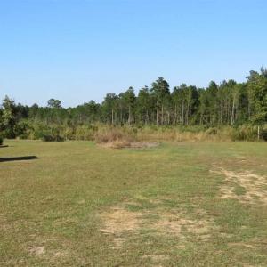 Photo of SOLD!!  25.9 Acres of Residential and Hunting Land For Sale in Columbus County NC!