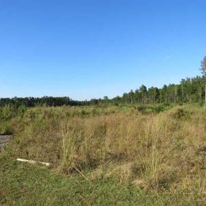 Photo of SOLD!!  25.9 Acres of Residential and Hunting Land For Sale in Columbus County NC!