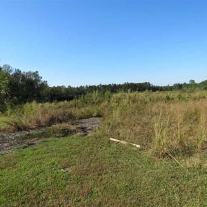 Photo of SOLD!!  25.9 Acres of Residential and Hunting Land For Sale in Columbus County NC!