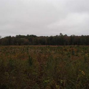 Photo of SOLD!!  187 Acres of Creek Front Land For Sale in Nash County NC!