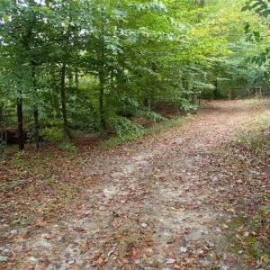 Photo of SOLD!!  187 Acres of Creek Front Land For Sale in Nash County NC!