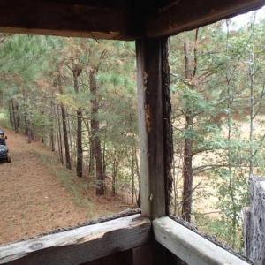 Photo of SOLD!!  187 Acres of Creek Front Land For Sale in Nash County NC!