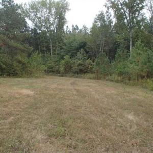 Photo of SOLD!!  187 Acres of Creek Front Land For Sale in Nash County NC!