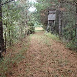 Photo of SOLD!!  187 Acres of Creek Front Land For Sale in Nash County NC!