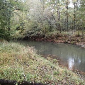 Photo of SOLD!!  187 Acres of Creek Front Land For Sale in Nash County NC!