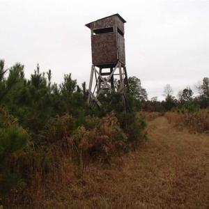 Photo of SOLD!!  187 Acres of Creek Front Land For Sale in Nash County NC!