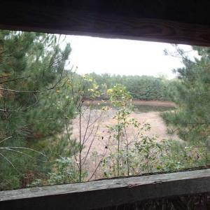Photo of SOLD!!  187 Acres of Creek Front Land For Sale in Nash County NC!