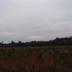 Photo of SOLD!!  187 Acres of Creek Front Land For Sale in Nash County NC!