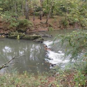 Photo of SOLD!!  187 Acres of Creek Front Land For Sale in Nash County NC!