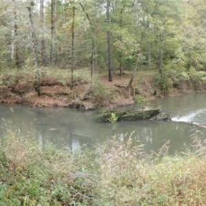 Photo of SOLD!!  187 Acres of Creek Front Land For Sale in Nash County NC!
