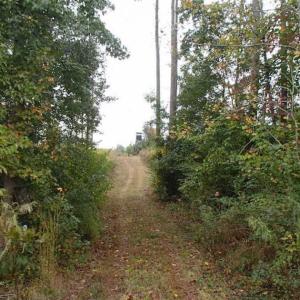 Photo of SOLD!!  187 Acres of Creek Front Land For Sale in Nash County NC!