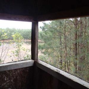 Photo of SOLD!!  187 Acres of Creek Front Land For Sale in Nash County NC!