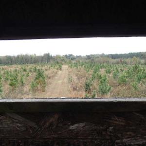 Photo of SOLD!!  187 Acres of Creek Front Land For Sale in Nash County NC!