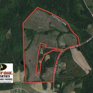 Photo of SOLD!!  187 Acres of Creek Front Land For Sale in Nash County NC!