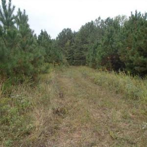 Photo of SOLD!!  187 Acres of Creek Front Land For Sale in Nash County NC!
