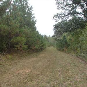 Photo of SOLD!!  187 Acres of Creek Front Land For Sale in Nash County NC!
