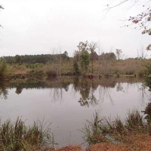 Photo of SOLD!!  187 Acres of Creek Front Land For Sale in Nash County NC!