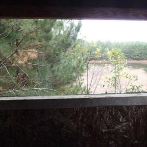 Photo of SOLD!!  187 Acres of Creek Front Land For Sale in Nash County NC!