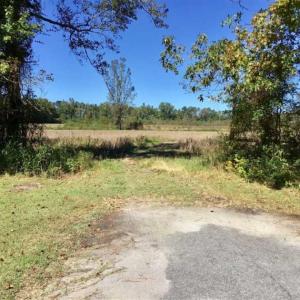 Photo of SOLD!   36.25 Ac of Farm Hunting and Residential Land for Sale in Columbus County NC!