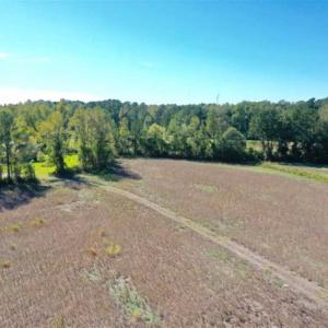 Photo of SOLD!   36.25 Ac of Farm Hunting and Residential Land for Sale in Columbus County NC!