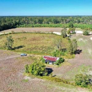 Photo of SOLD!   36.25 Ac of Farm Hunting and Residential Land for Sale in Columbus County NC!