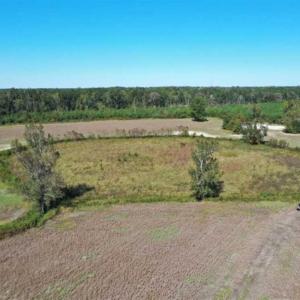 Photo of SOLD!   36.25 Ac of Farm Hunting and Residential Land for Sale in Columbus County NC!