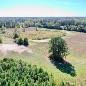 Photo of SOLD!   36.25 Ac of Farm Hunting and Residential Land for Sale in Columbus County NC!