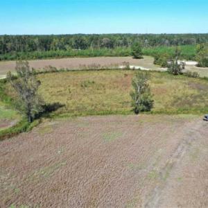 Photo of SOLD!   36.25 Ac of Farm Hunting and Residential Land for Sale in Columbus County NC!