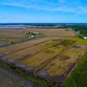 Photo of SOLD!!  20 Ac of Farm Land with Duck Impoundment and 3 Bedroom Home in Hyde Co NC!