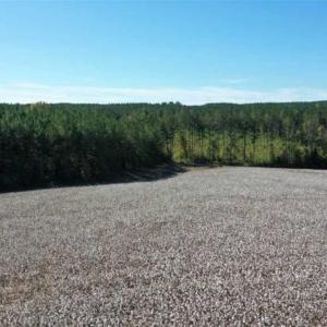 Photo of SOLD!!  45 Acres of Farm and Residential Land For Sale in Montgomery County NC!