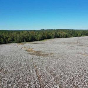 Photo of SOLD!!  45 Acres of Farm and Residential Land For Sale in Montgomery County NC!