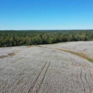 Photo of SOLD!!  45 Acres of Farm and Residential Land For Sale in Montgomery County NC!