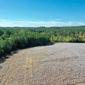 Photo of SOLD!!  45 Acres of Farm and Residential Land For Sale in Montgomery County NC!