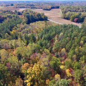 Photo of SOLD!!  81.9 Acres of Hunting and Timber Land for Sale in Caswell County NC!