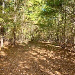 Photo of SOLD!!  81.9 Acres of Hunting and Timber Land for Sale in Caswell County NC!